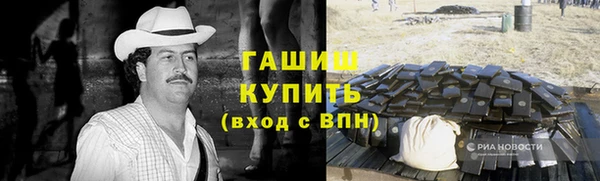 крисы Кулебаки
