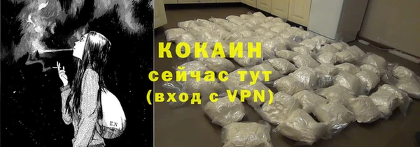 крисы Кулебаки