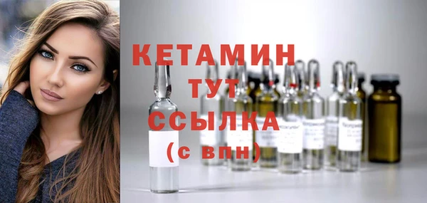крисы Кулебаки