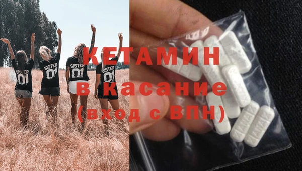 крисы Кулебаки