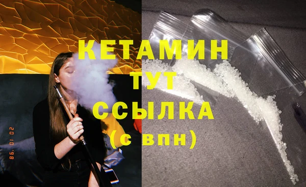 крисы Кулебаки