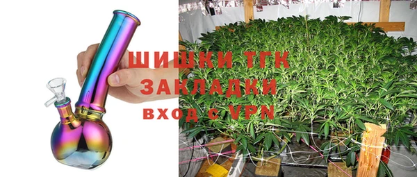 крисы Кулебаки