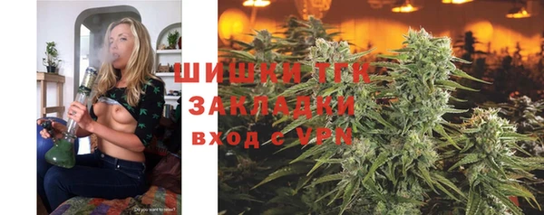 крисы Кулебаки