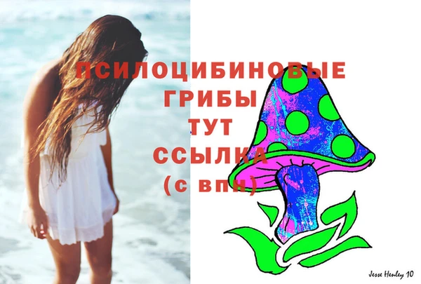 крисы Кулебаки